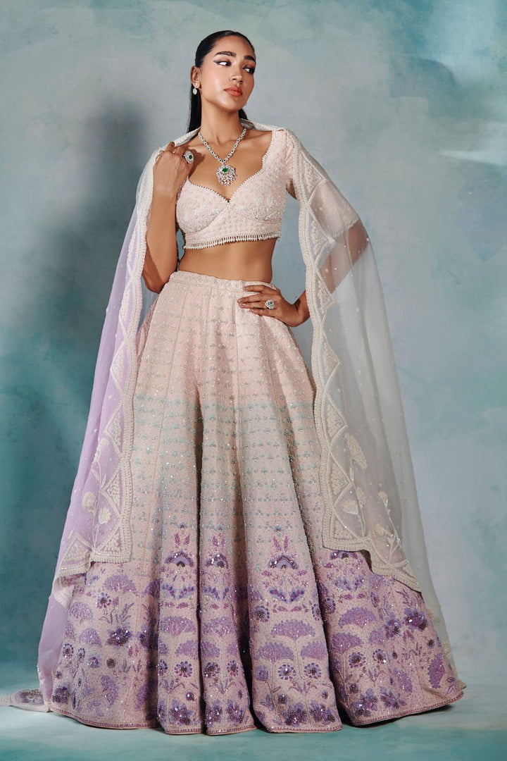 Dreamweave Lehenga Set