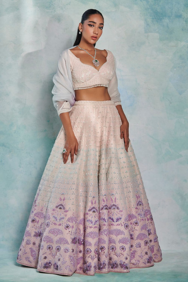 Dreamweave Lehenga Set