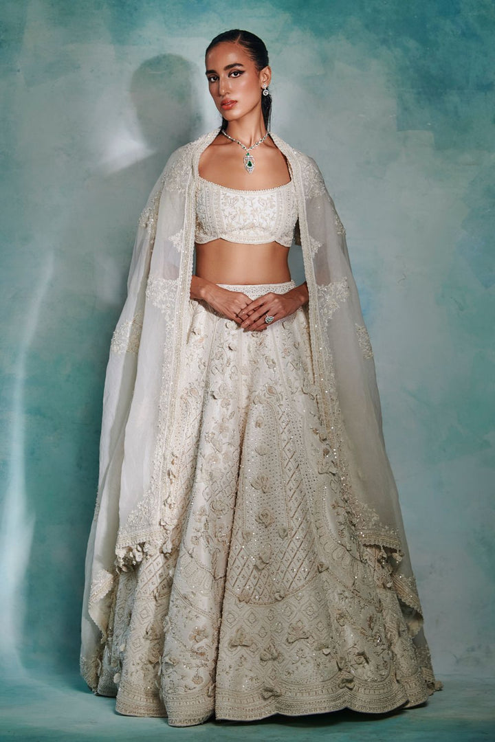 Heavenly Reverie Lehenga Set