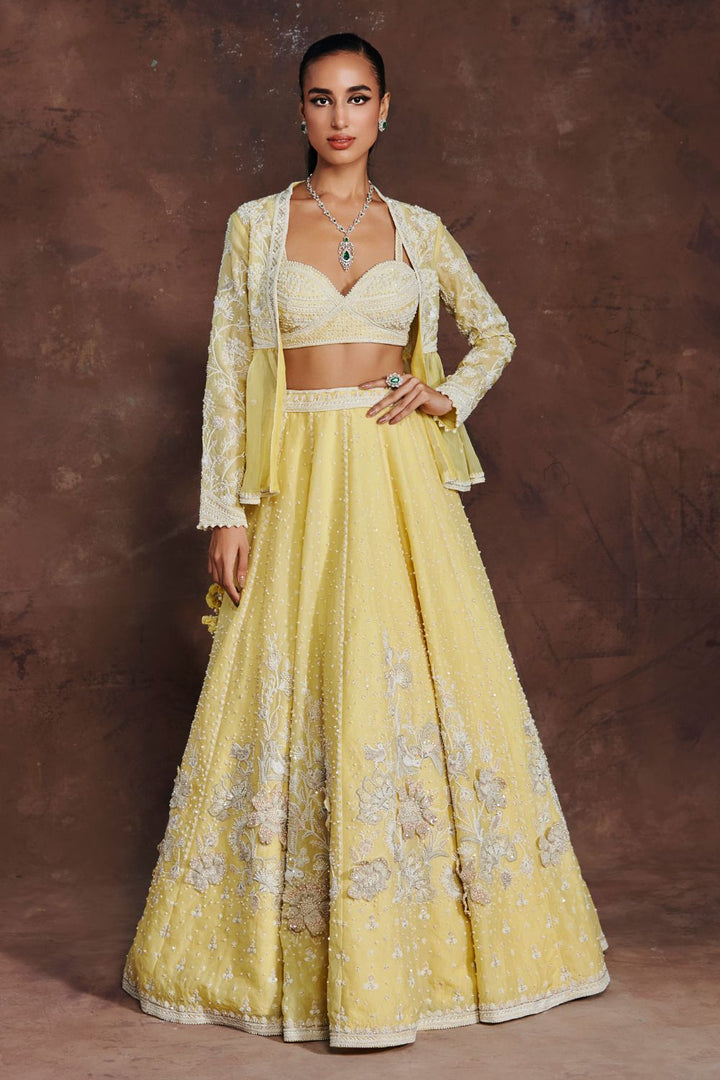 Ethereal Dream Lehenga Set