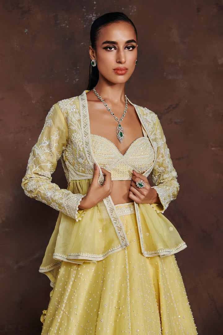 Ethereal Dream Lehenga Set